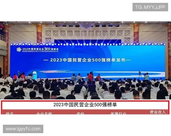 江阴企业家引领区域创新发展新格局与未来战略路径探析实践趋势研究